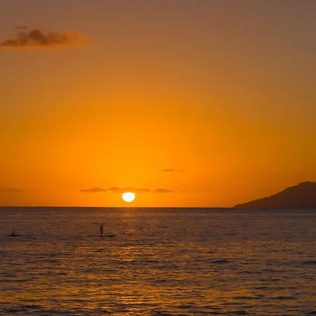 Chez Tonton * Sarralbe